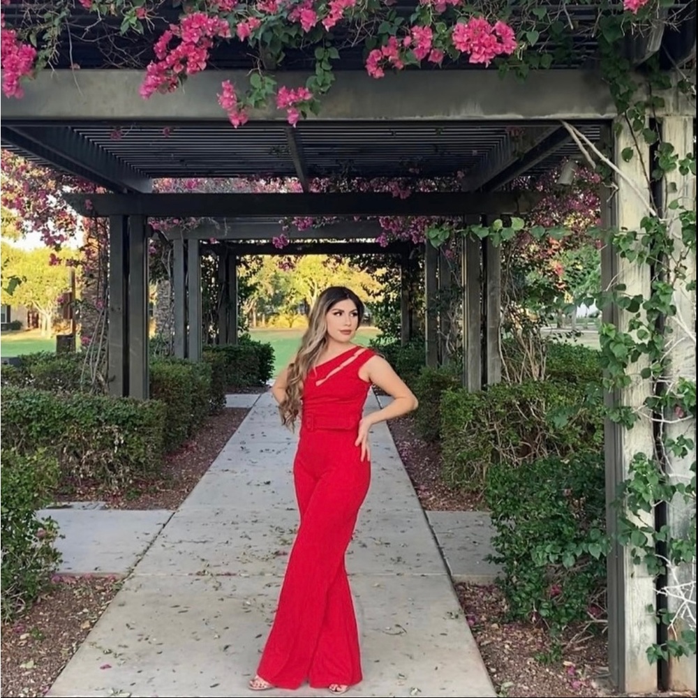 Ruby Jumpsuit (Red Jumpsuit) NEW